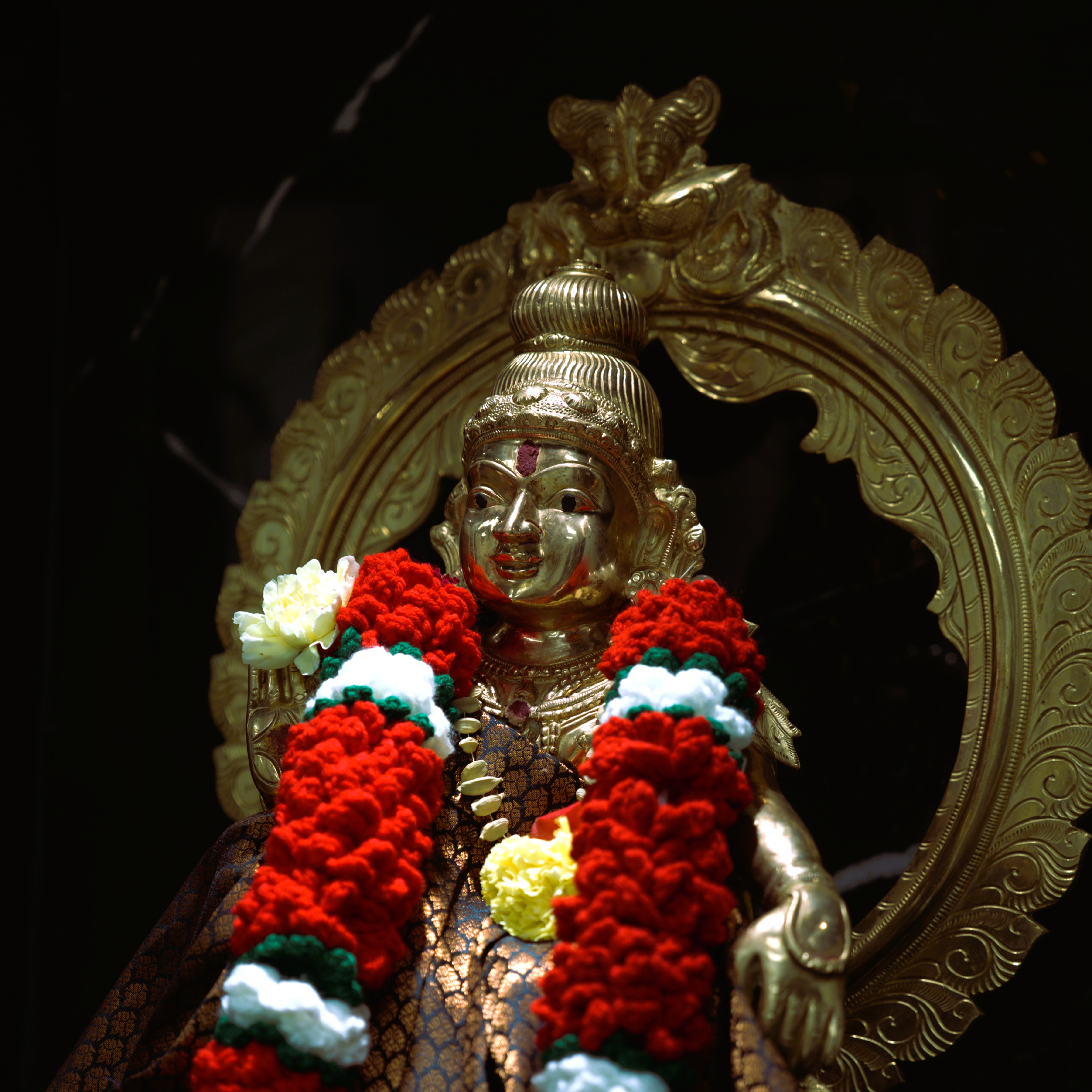 Lord Ayyappa