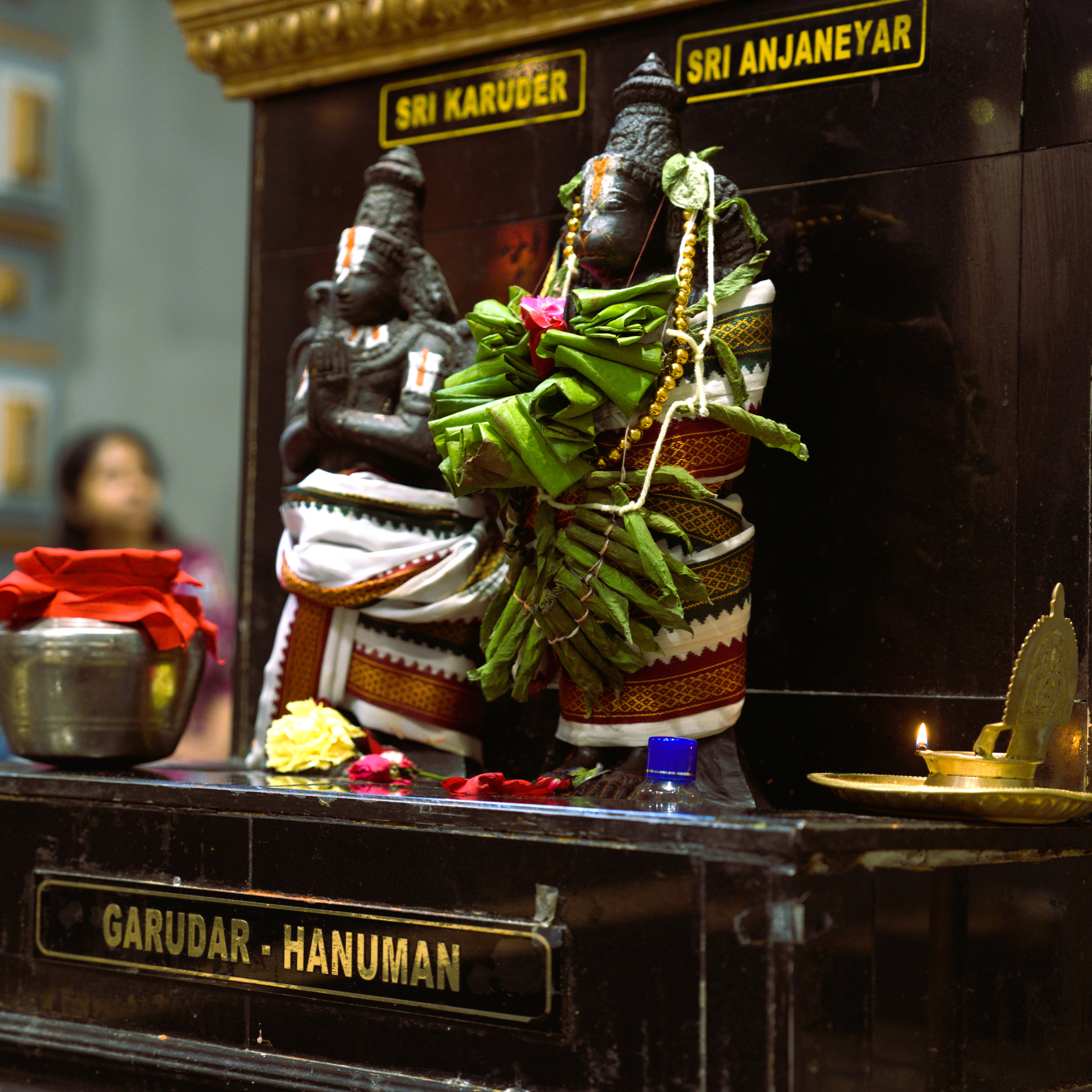 Garuda & Hanuman