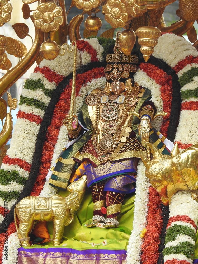 Goddess Padmavathi